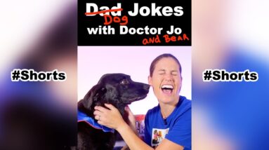 Dog Jokes with Doctor Jo & Bear - Pinched Nerve #shorts