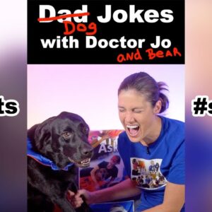 Dog Jokes with Doctor Jo & Bear #shorts
