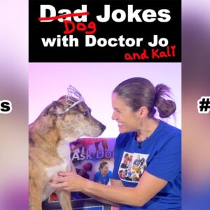 Dog Jokes with Doctor Jo & Kali - HIPAA #shorts