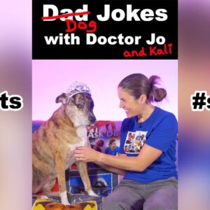 Dog Jokes with Doctor Jo & Kali #shorts