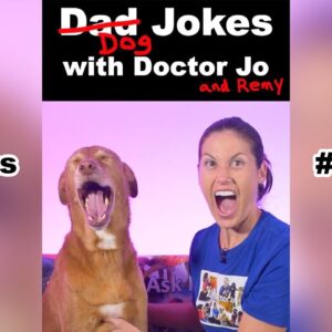 Dog Jokes with Doctor Jo & Remy - Gingerbread Man #shorts