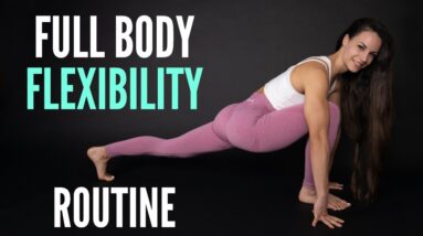 FULL BODY BEGINNER FLEXIBILITY  // 15 Minute Follow Along Routine