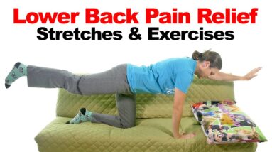 Lower Back Pain Relief Stretches & Exercises