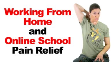 Working From Home & Online School Pain Relief Stretches & Exercises