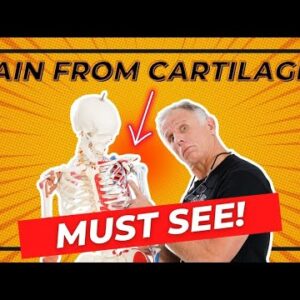 Is Your Shoulder Pain From Cartilage? Must Know