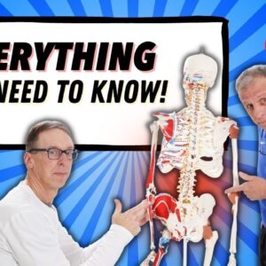 Low Back Pain Everything You Need To Know