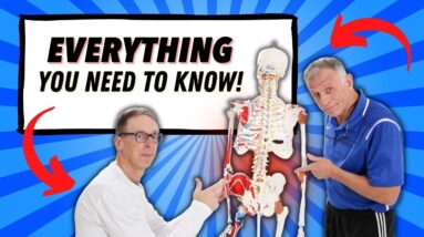 Low Back Pain Everything You Need To Know